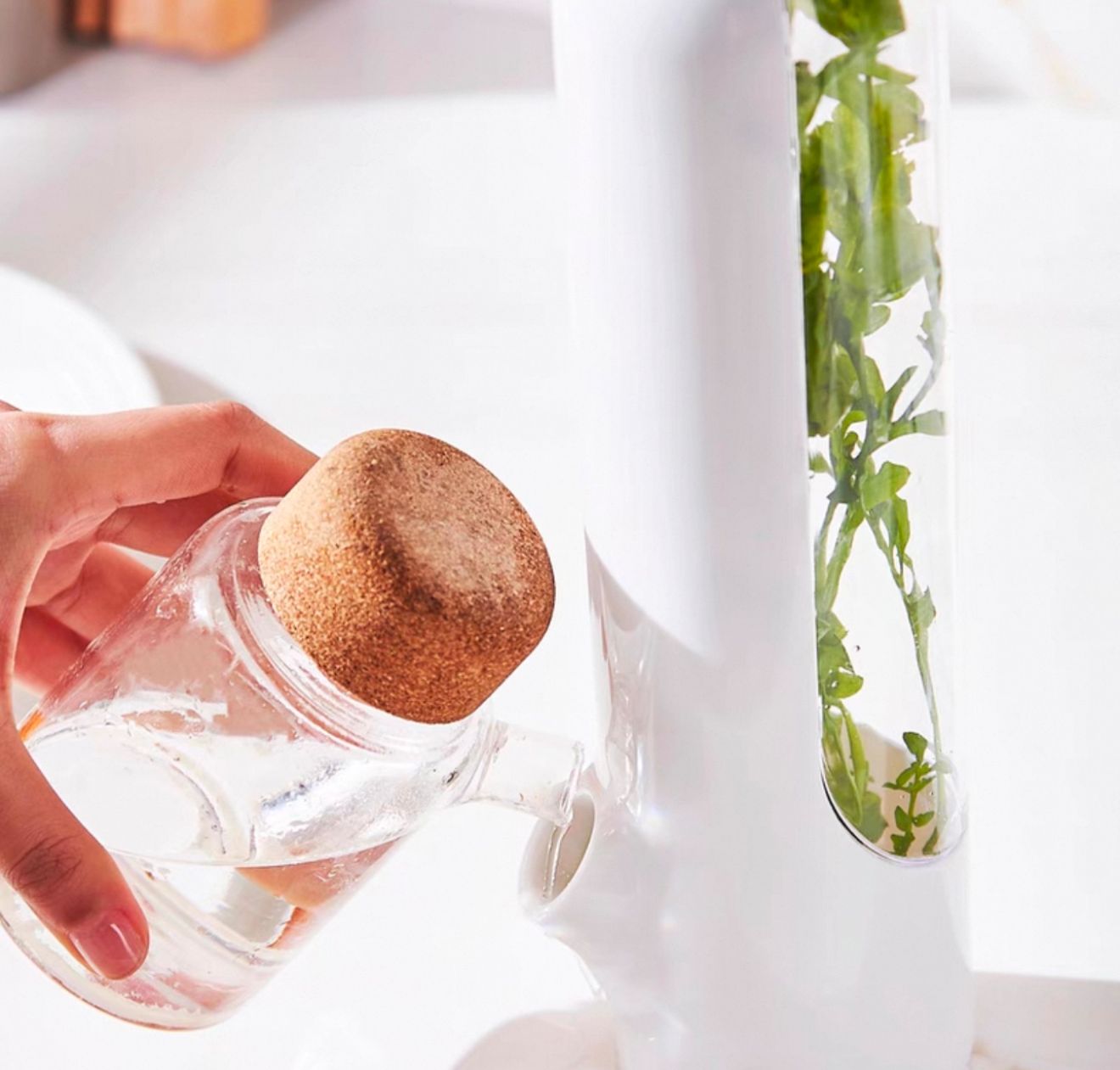 CONSERVADOR DE HIERBAS